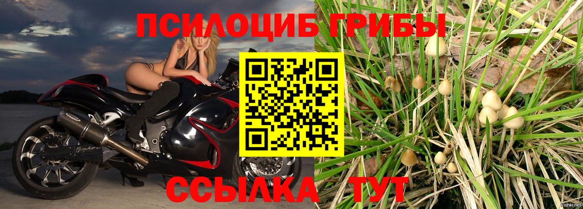 Галлюциногенные грибы мицелий Карачаевск