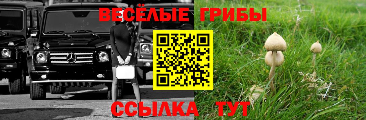 Карачаевск  Галлюциногенные грибы Magic Shrooms  Галлюциногенные грибы мухоморы  Вход с VPN 